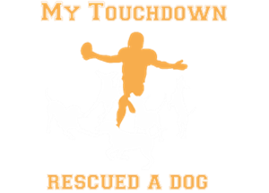 Play For A Stray Inc Dba Pack Football Club Home Play For A Stray Inc Dba Pack Football Club Home